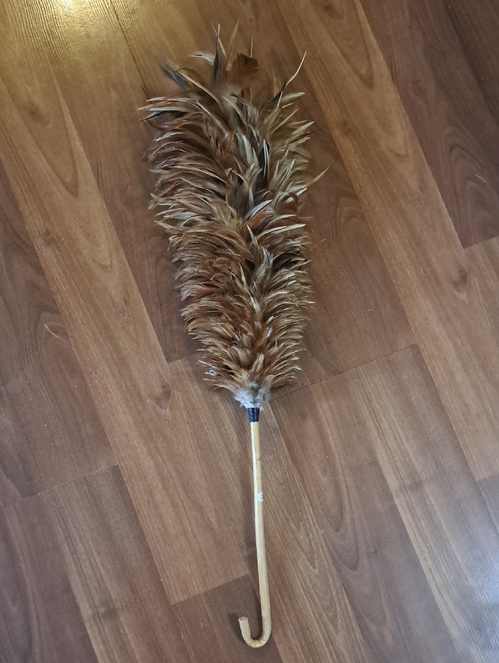 Vintage Feather Duster